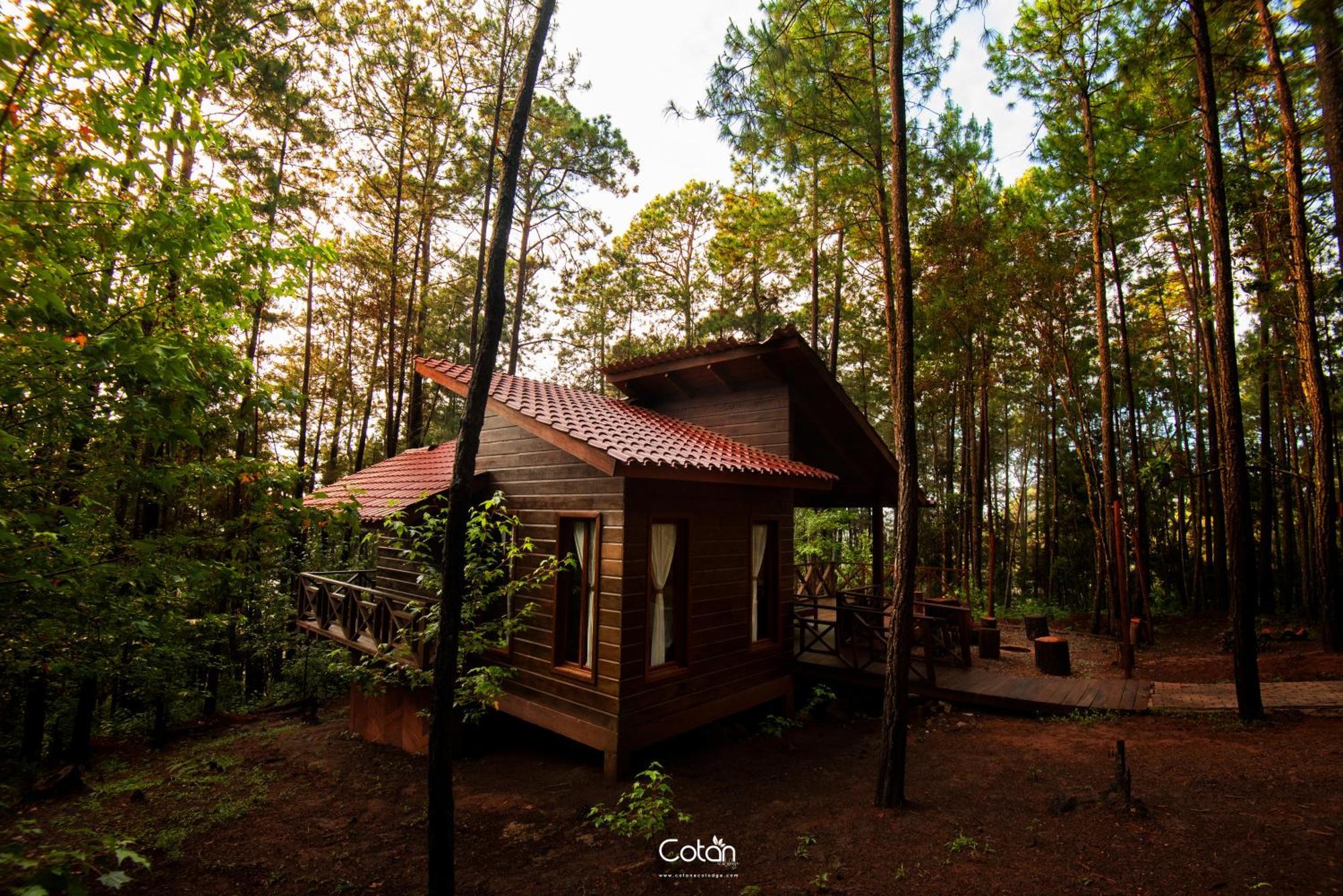 Cotan Ecolodge La Esperanza Exterior foto